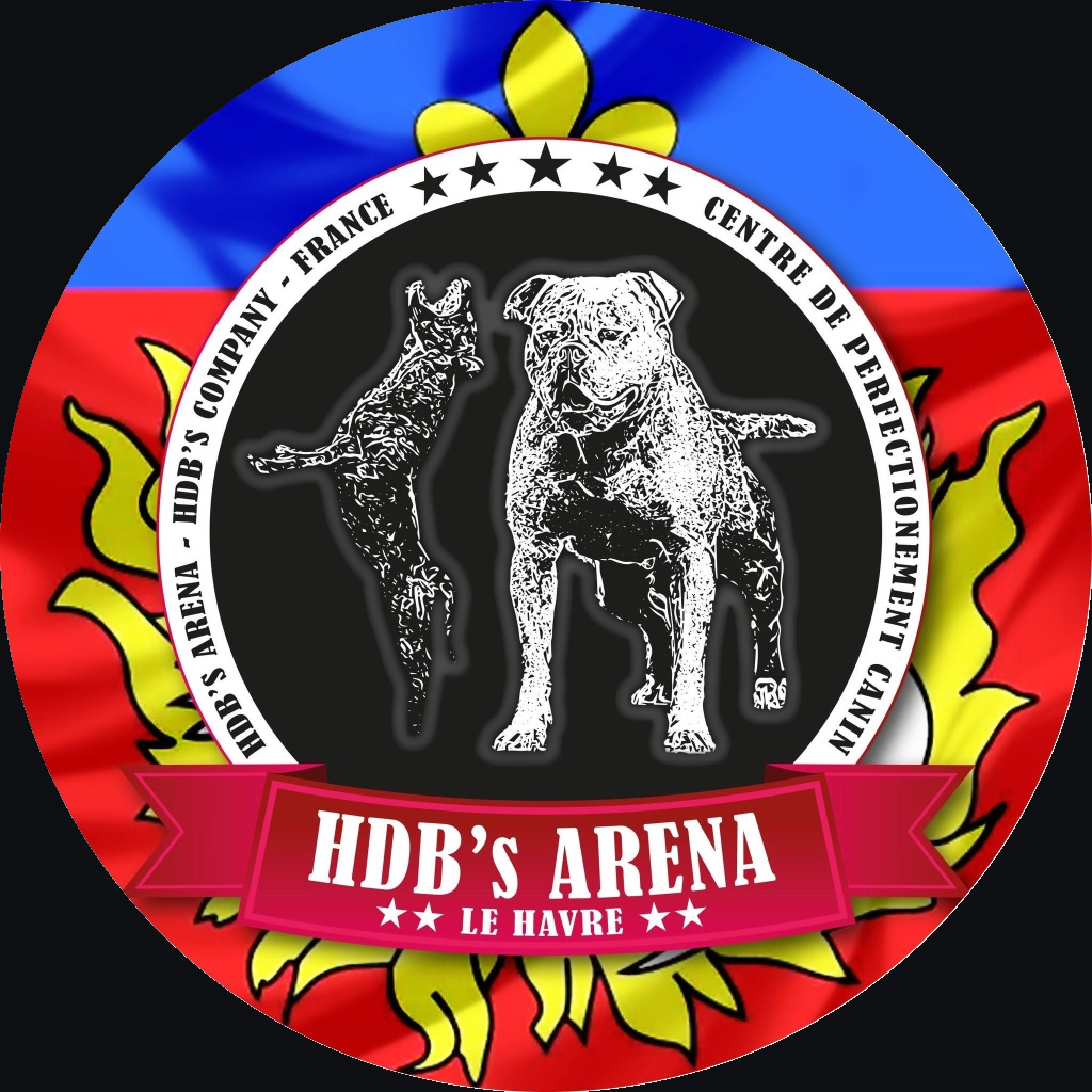 Logo Hdb's Arena