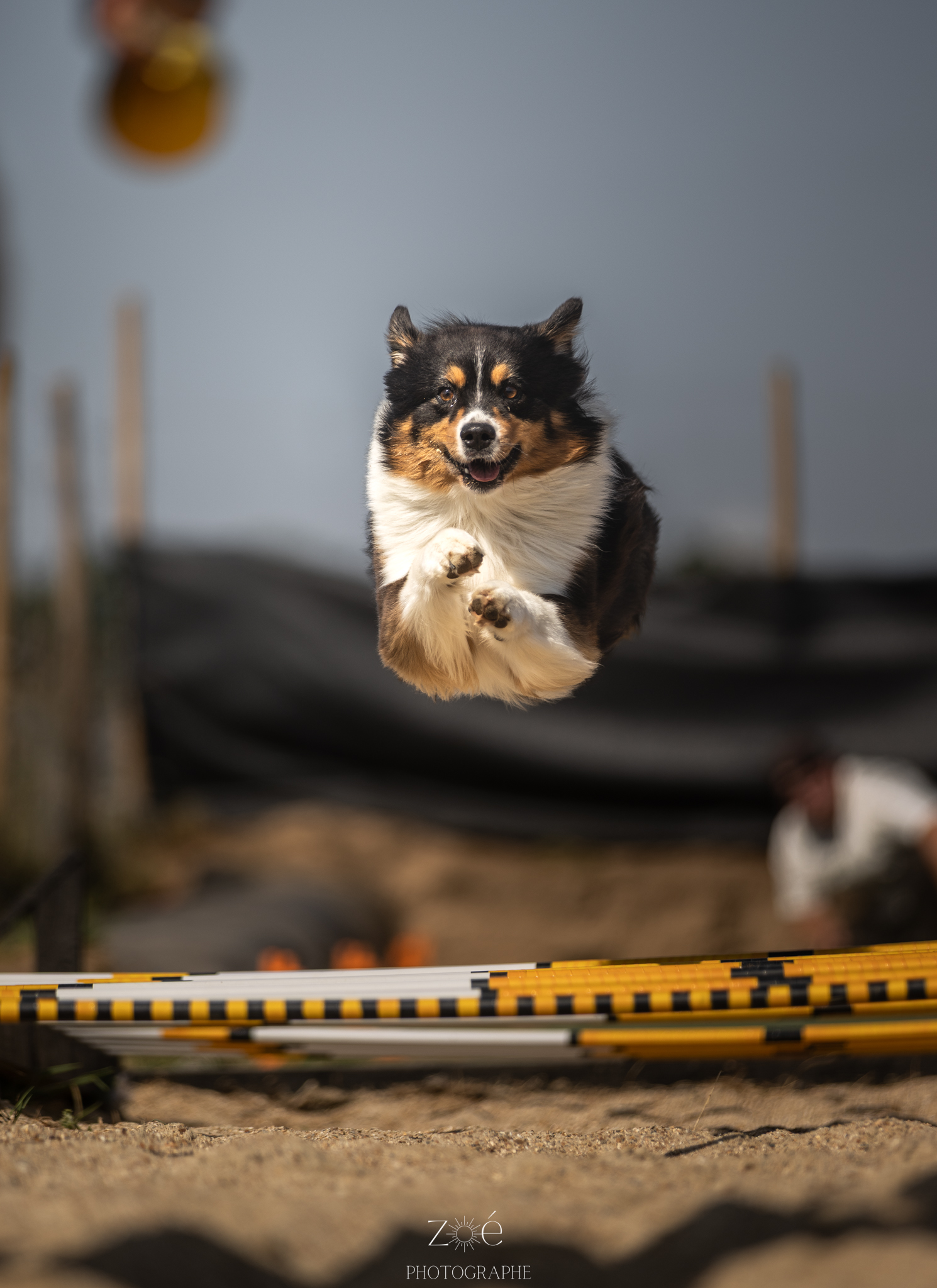 Sybell
